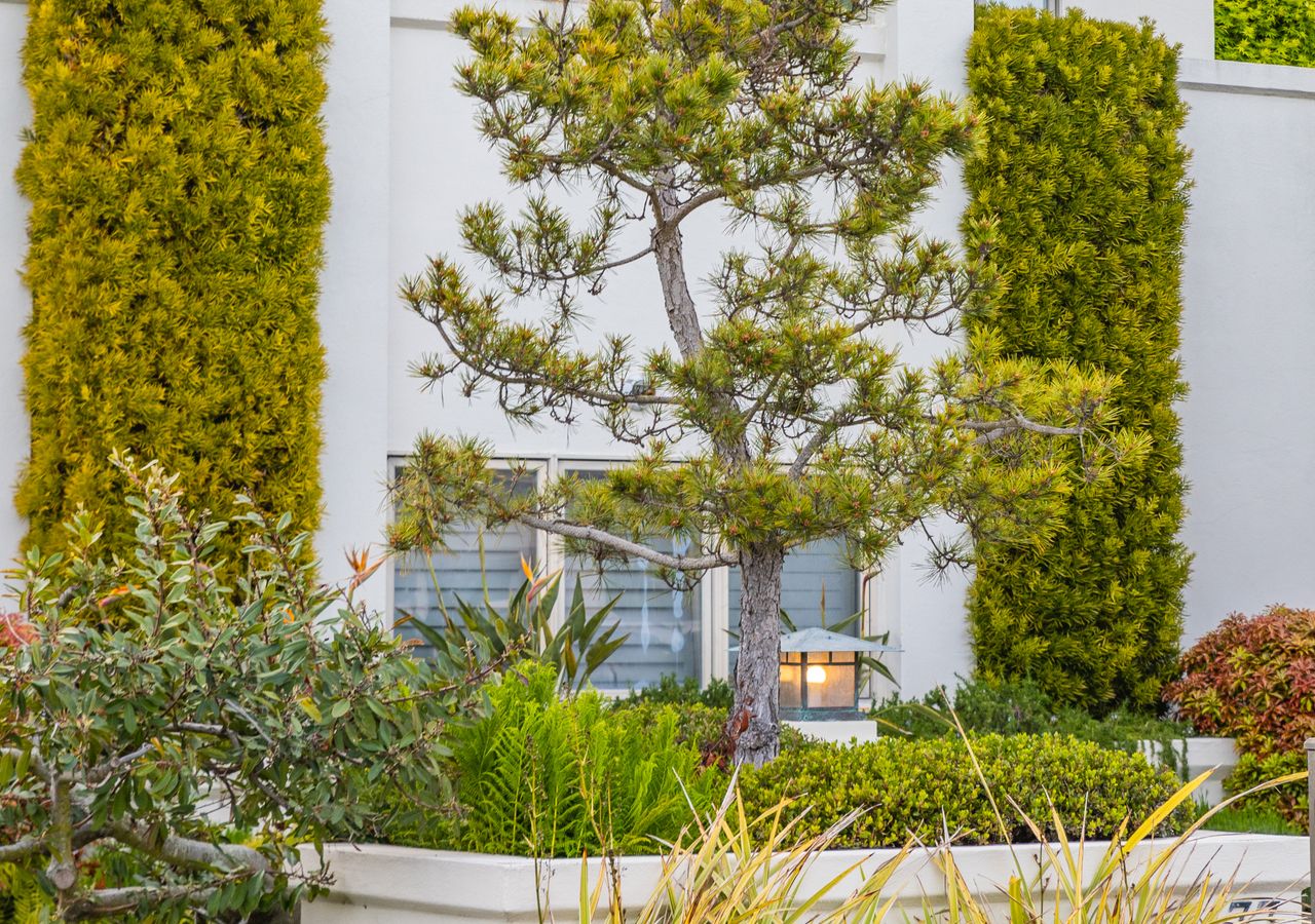 Professional landscaping